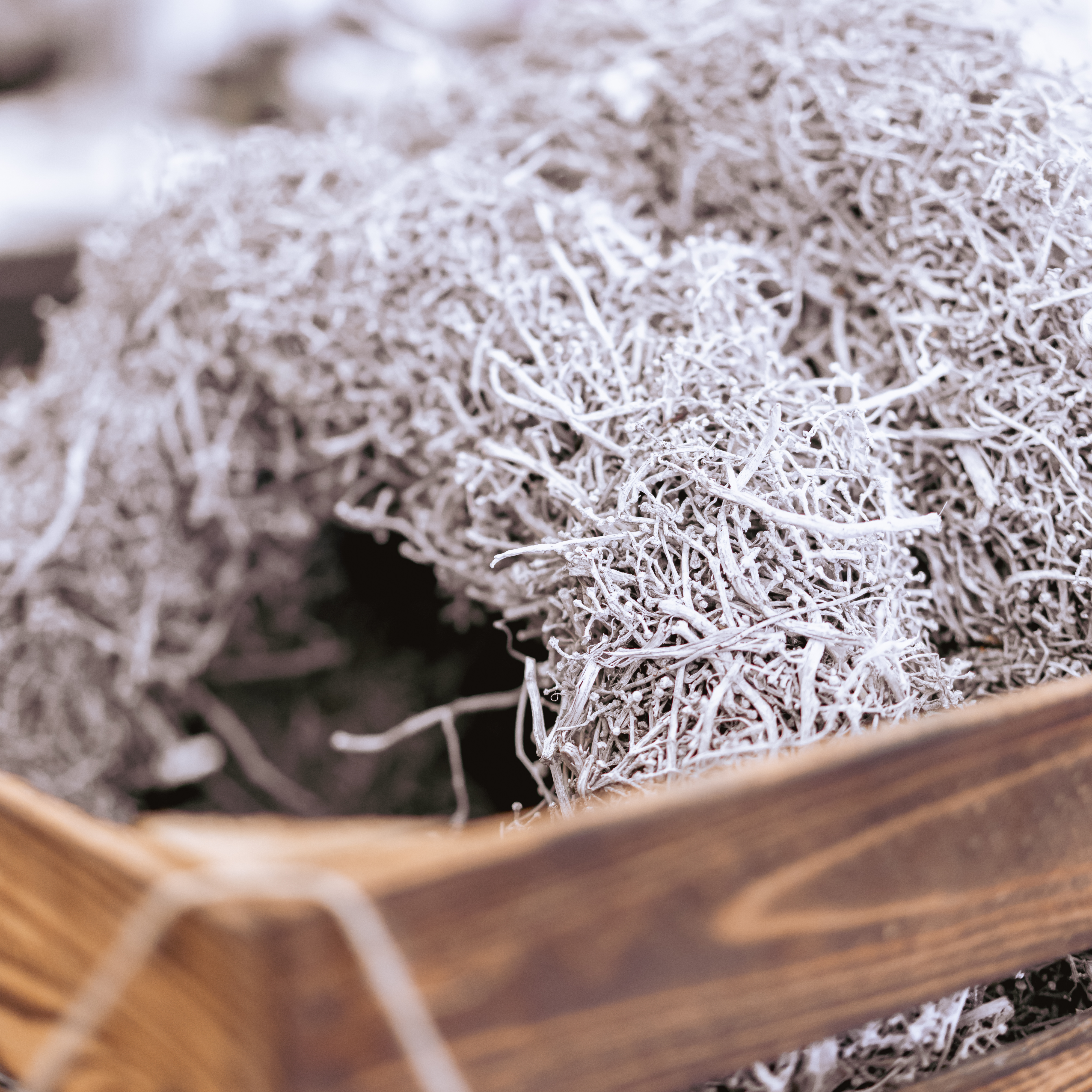 Naturkranz aus Rebenstiele frostweiß in frostweiß drappiert in einer Holzbox
